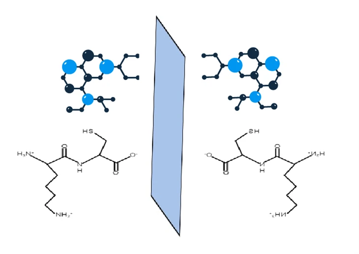 Peptidi D-aminokiselina