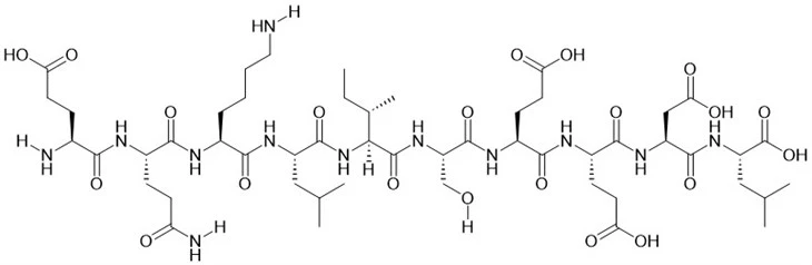 Myc epitopski peptid