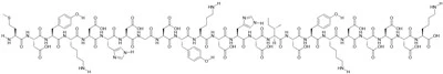 3xFlag peptid