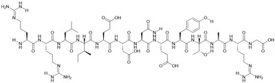 Pp60(v-SRC) mjesto autofosforilacije, supstrat protein tirozin kinaze