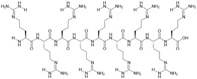 R9 peptid